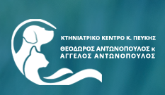 Αντωνόπουλος Θεόδωρος