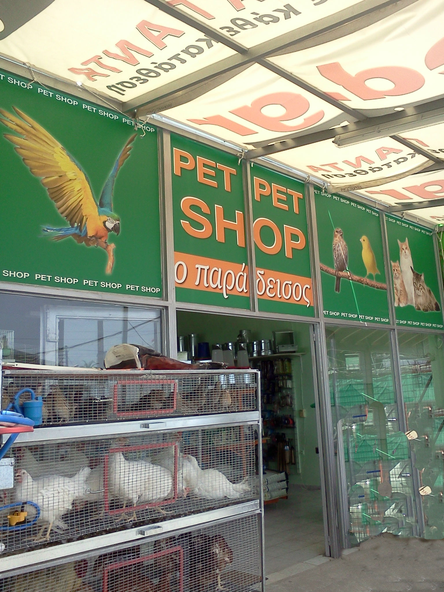 Pet shop ''Ο Παράδεισος'' σε Σπάτα - Γενικά | Pet shop, Κατοικίδια Ζώα