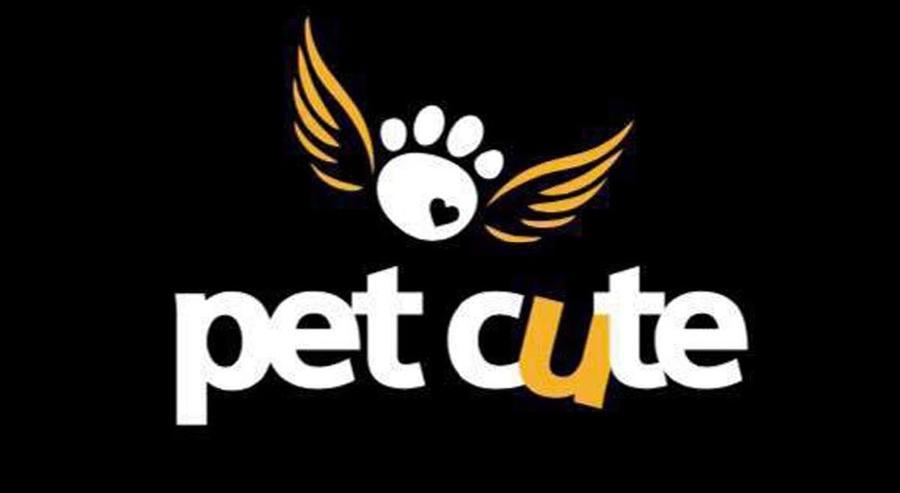 Pet Cute - Περιστέρι