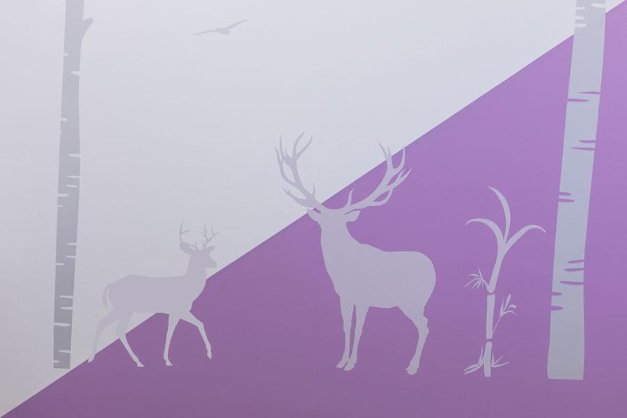 Παιδοδοντίατρος Μεσόγεια, Παιδοδοντίατροι Μεσόγεια